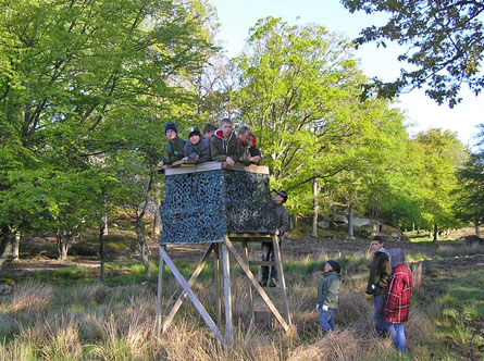 Spaning fr&aring;n torn p&aring; Eriksberg. Foto: Rune Svensson